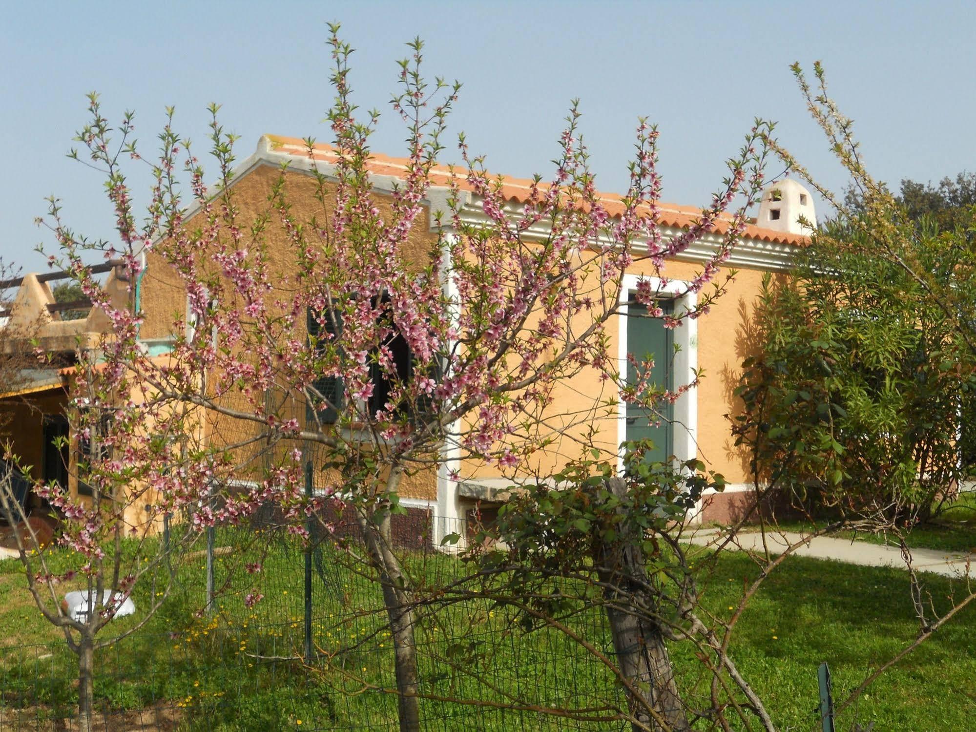 Hotel Borgo Di Campagna à Porto San Paolo  Extérieur photo